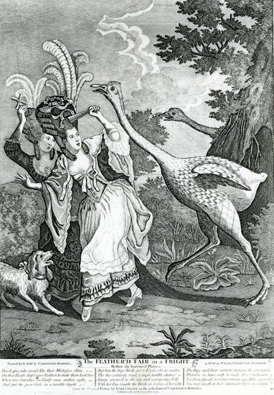 El amigo emplumado en un susto, 1779 de John Collet